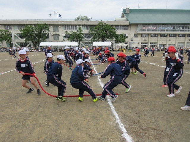 ５・６年生綱引き